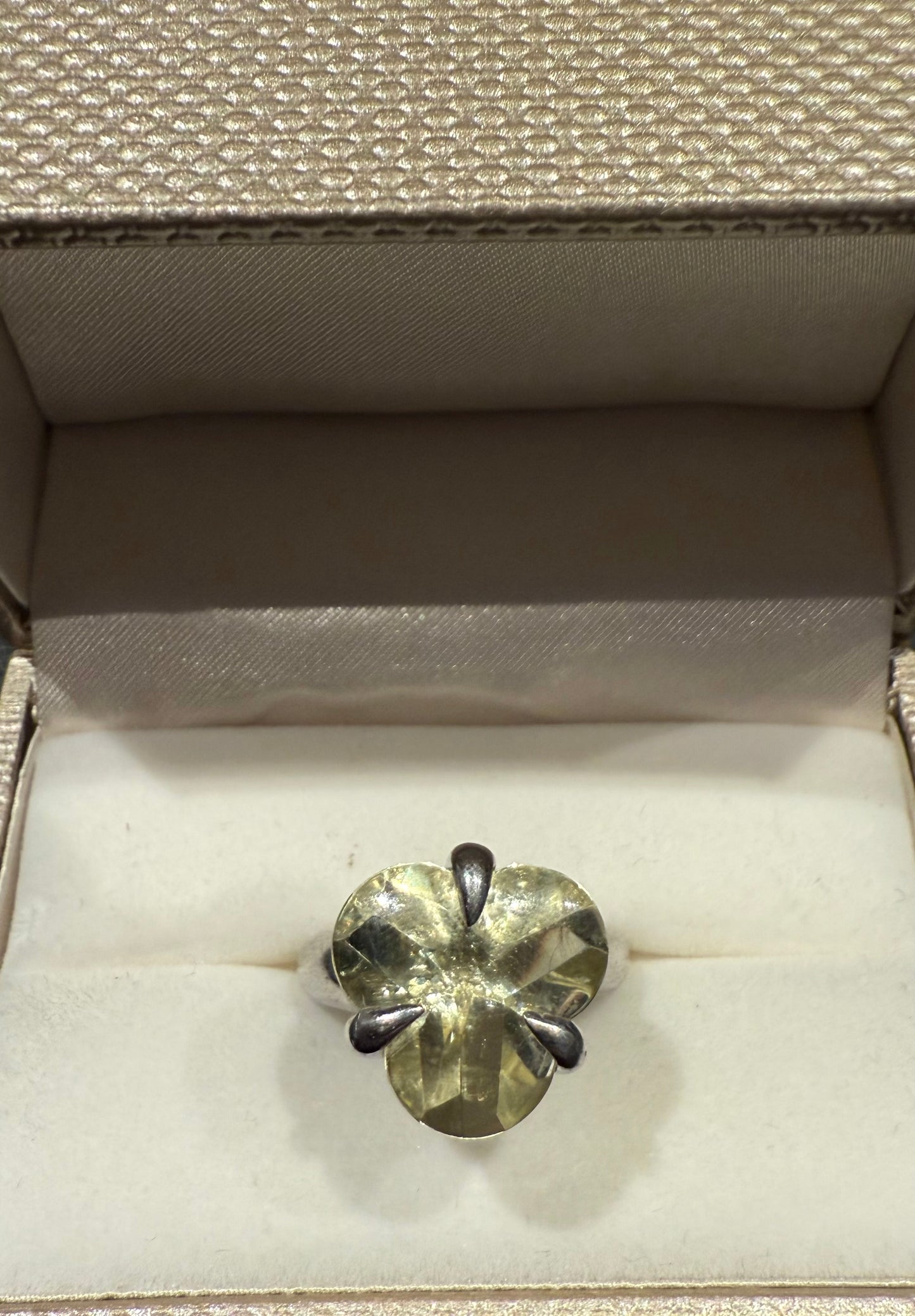 RING ZILVER LAATSTE STUK